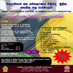 Basic Certificate Course in Productivity and Innovation