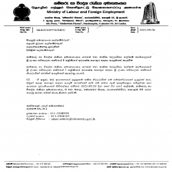 Calling applications for the post of Director (SLAS I) in Ministry of Labour and Foreign Employment (National Productivity Secretariat)